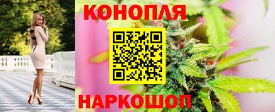 ALPHA PVP Партизанск