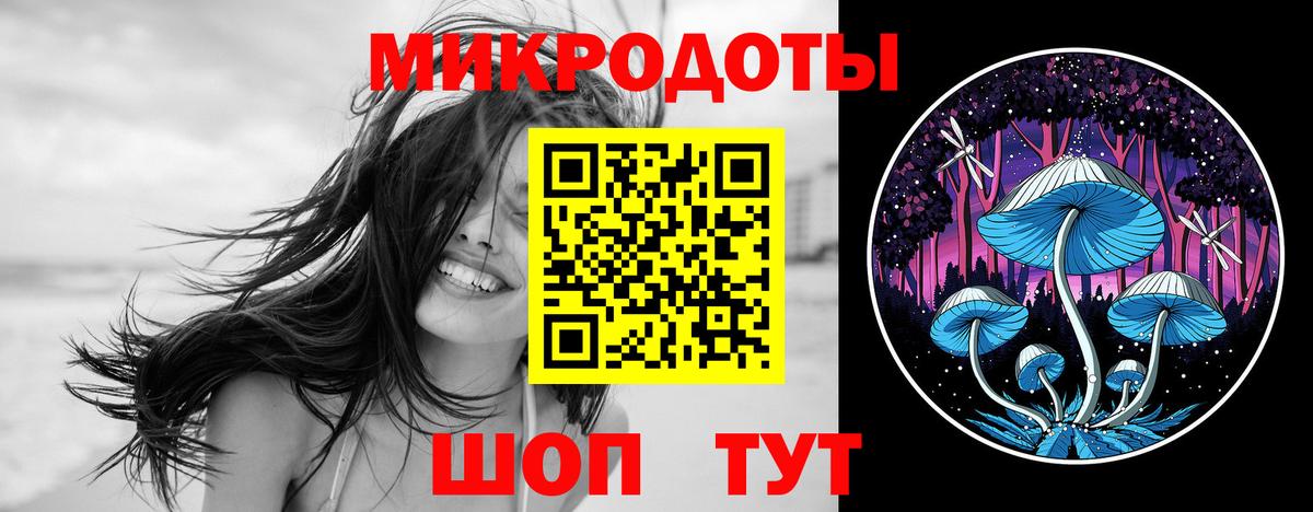 Галлюциногенные грибы Psilocybine cubensis Салават
