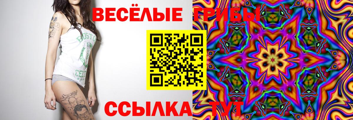 Салават  Галлюциногенные грибы MAGIC MUSHROOMS  Вход с VPN 